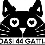 Oasi 44 Gatti