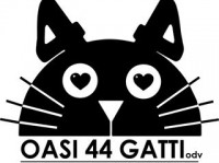 Oasi 44 Gatti